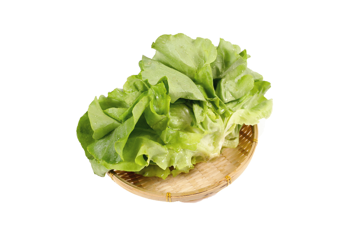 有機奶油生菜