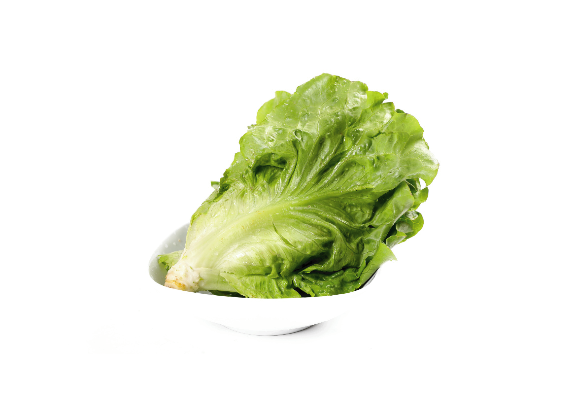 有機葉生菜
